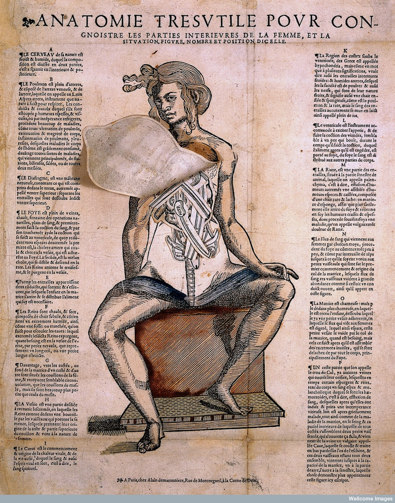 Illustration for article titled Feast your eyes on this treasure trove of old medical illustrations